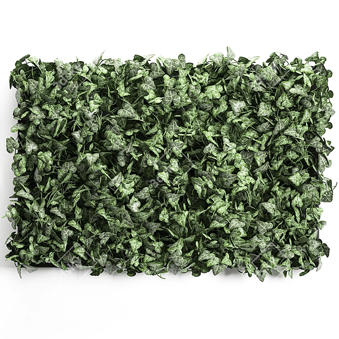 Vertical Green Wall: Modern Vertical Gardening 3D model image 6