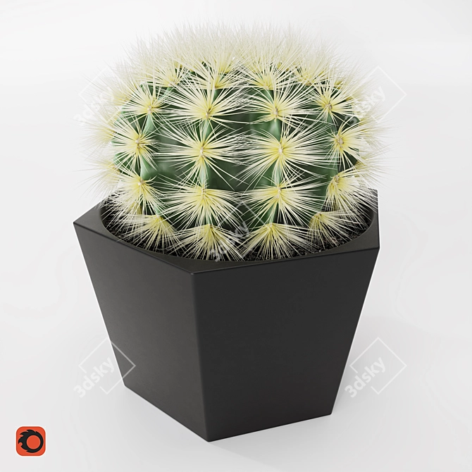 Stylish Cactus Pot - Hair And Fur 3D model image 3