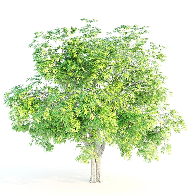Ethereal Elm Tree: Stunning Polygon Art 3D model image 6