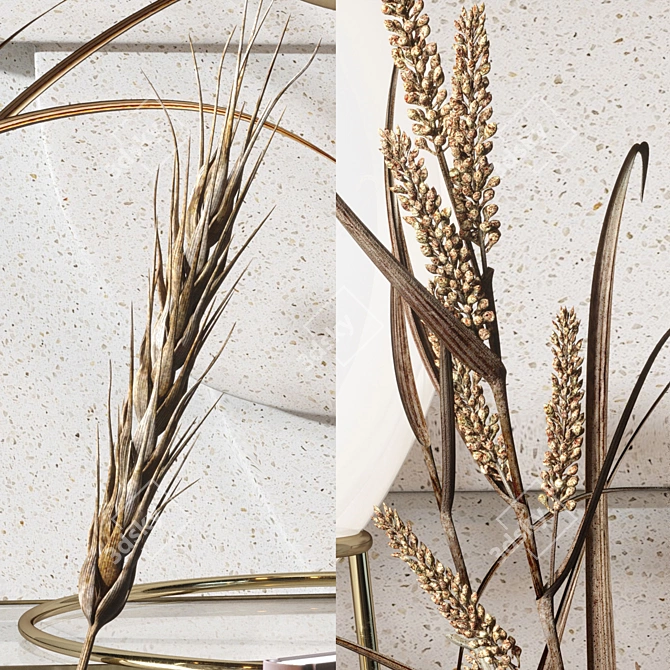 Elegant Decor Set with Carex Riparia & Heracleum 3D model image 3