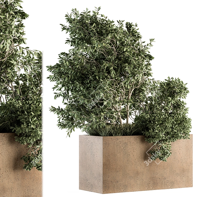 82 Piece Outdoor Olive Plant Set 3D model image 1