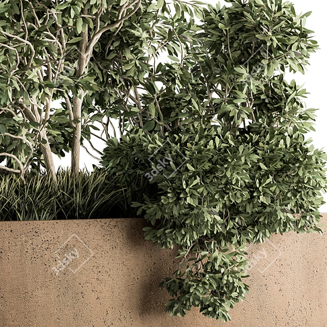 82 Piece Outdoor Olive Plant Set 3D model image 2