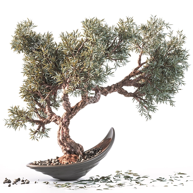 Exquisite Household Olive Plant 3D model image 1