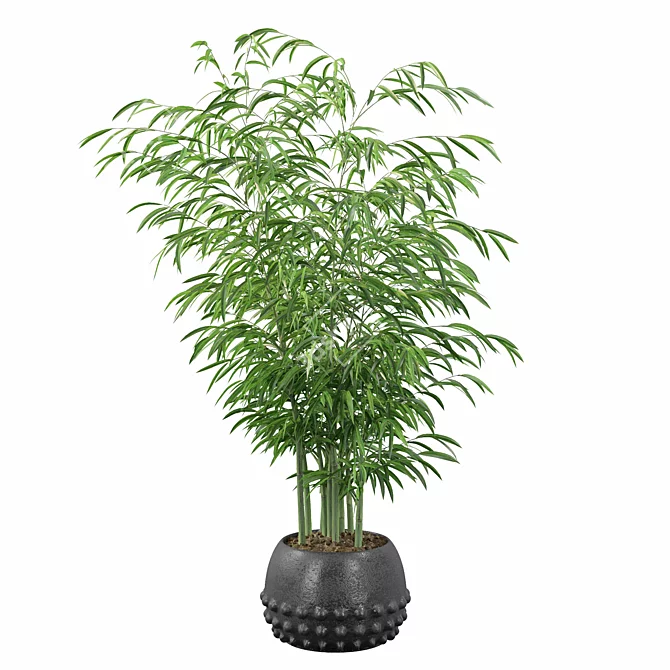 Bamboo Haven: Exquisite Greenery 3D model image 2