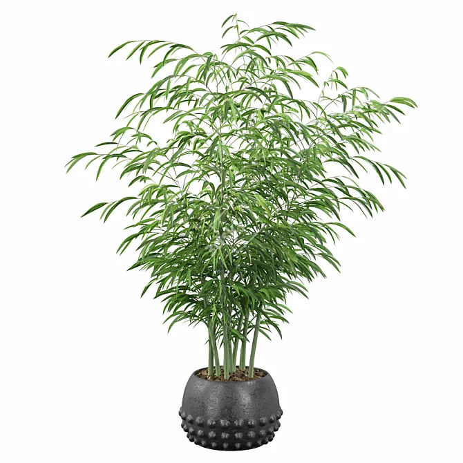Bamboo Haven: Exquisite Greenery 3D model image 3