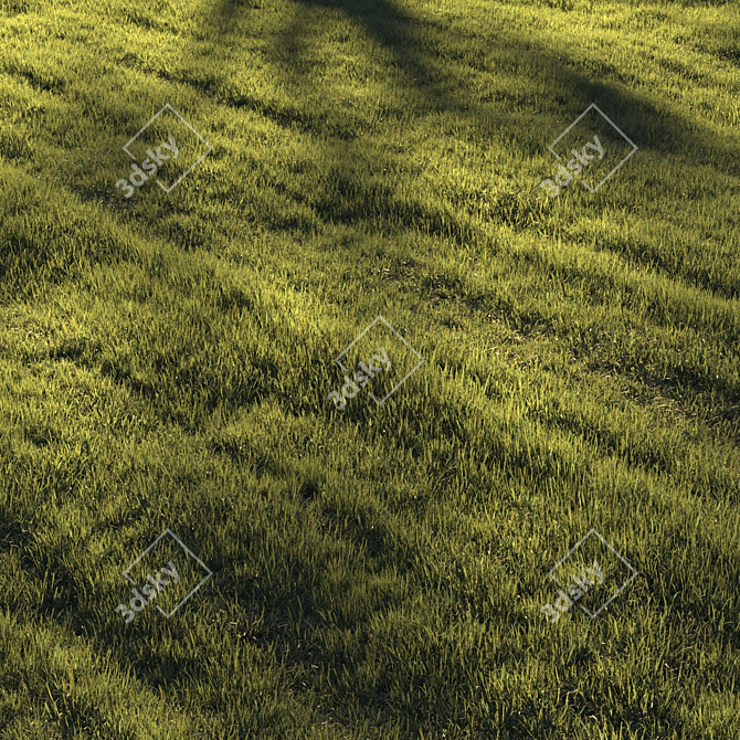 Lush Greenscape Scattered Grass 3D model image 1