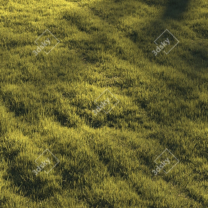 Lush Greenscape Scattered Grass 3D model image 4