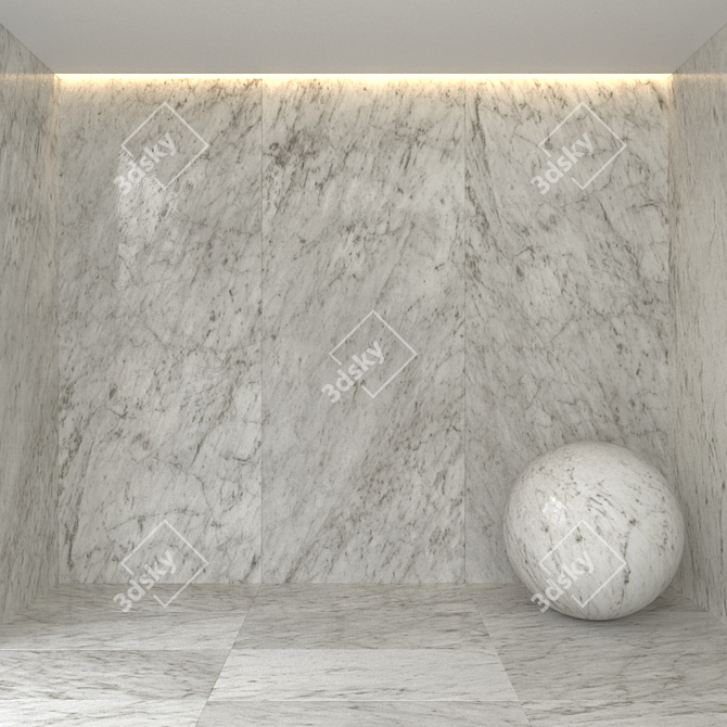 Elegant Bianco Venatino Gioia Marble 3D model image 1