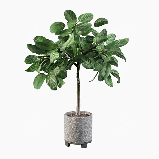 Elegant Ficus Benghalensis: 3D Plant Collection 3D model image 4