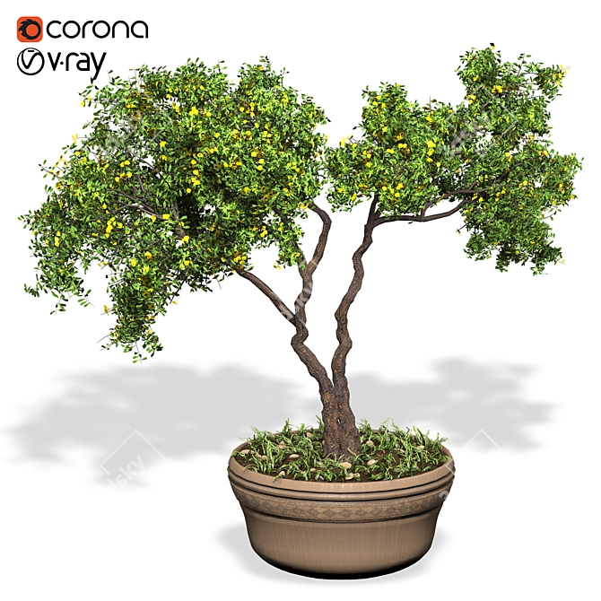 Elegant Ornamental Tree: Perfect Home Decor 3D model image 1