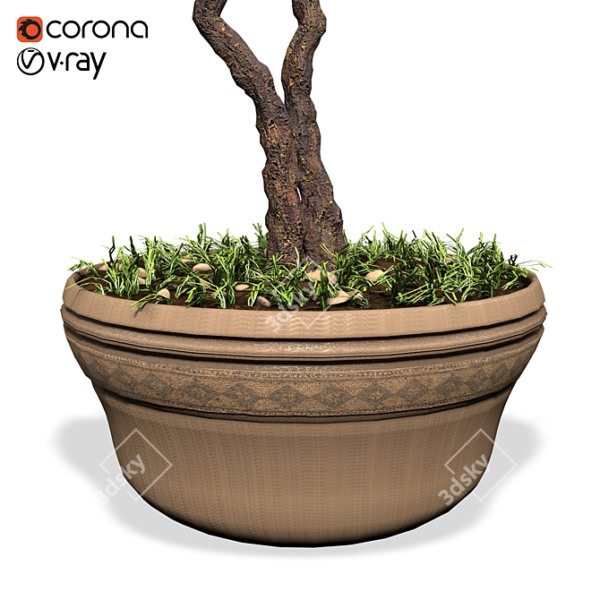 Elegant Ornamental Tree: Perfect Home Decor 3D model image 2