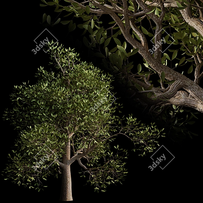 Autumn Serenity: 3D Tree with Natural Textures 3D model image 1