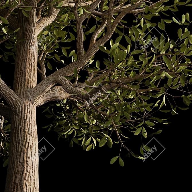 Autumn Serenity: 3D Tree with Natural Textures 3D model image 4