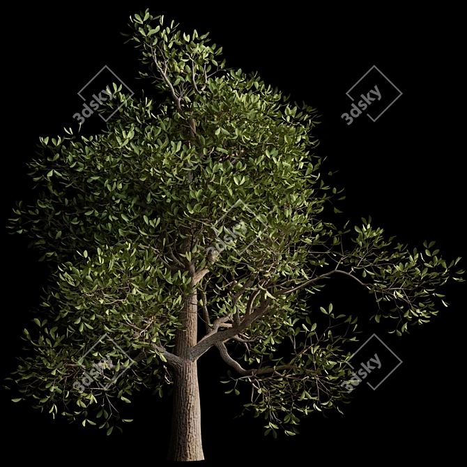 Autumn Serenity: 3D Tree with Natural Textures 3D model image 5