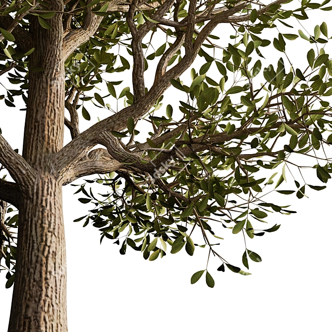 Autumn Serenity: 3D Tree with Natural Textures 3D model image 8