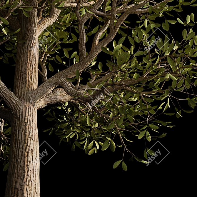 Autumn Serenity: 3D Tree with Natural Textures 3D model image 13