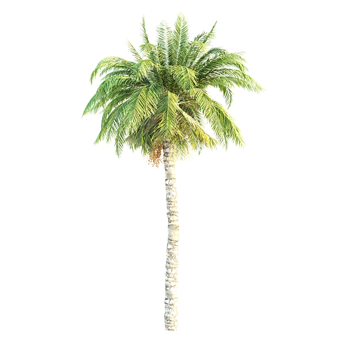 Tall Triple Palm Set 3D model image 4