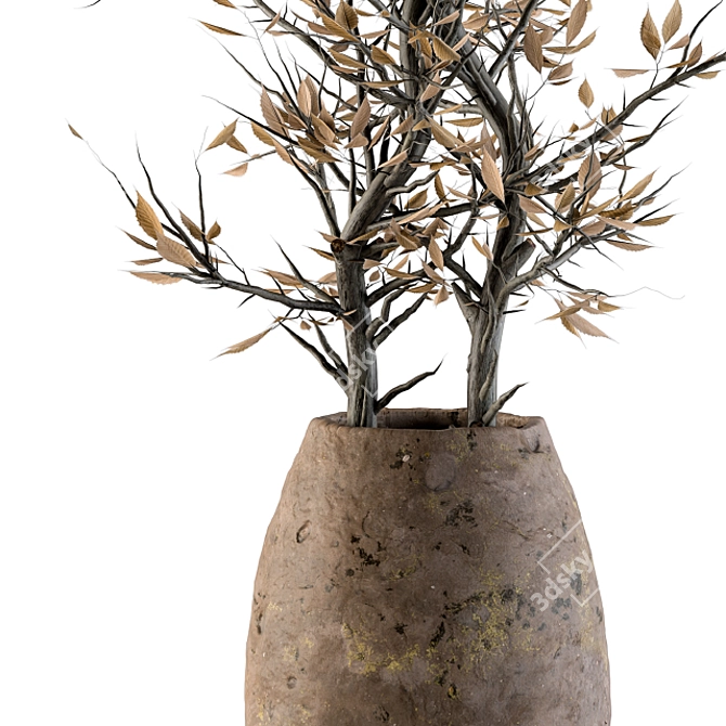 Natural Beauty: Indoor Dried Plant Set 3D model image 2