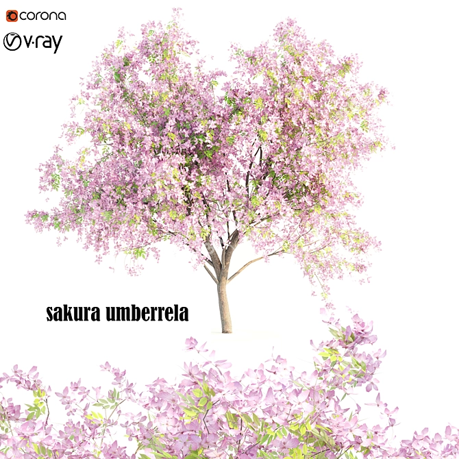 Sakura Dream Umbrella Tree 3D model image 1