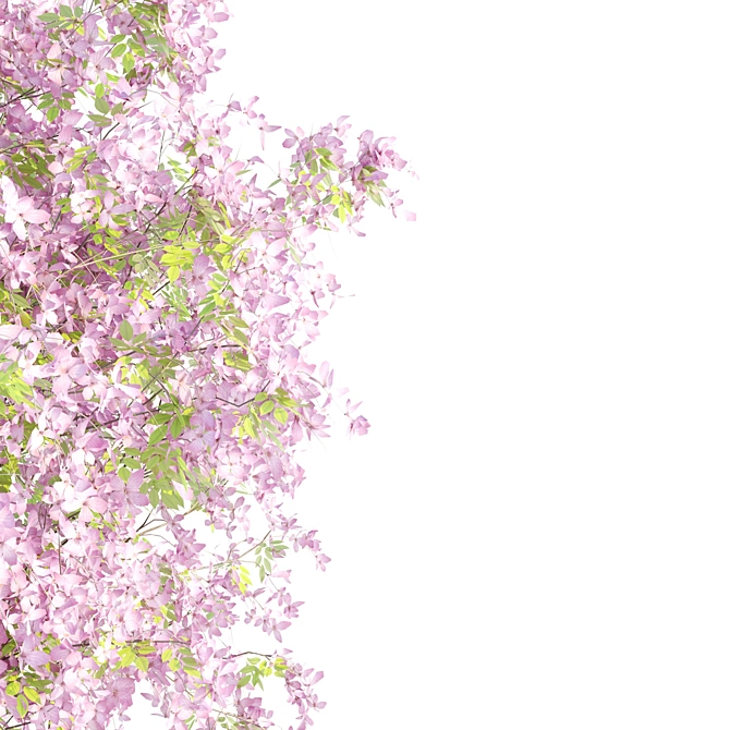 Sakura Dream Umbrella Tree 3D model image 2