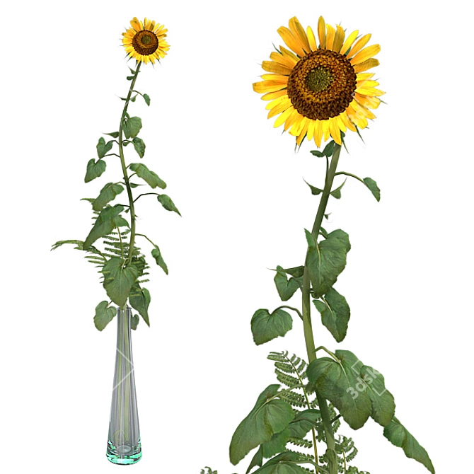 Sunflower in Vase 3D model image 1