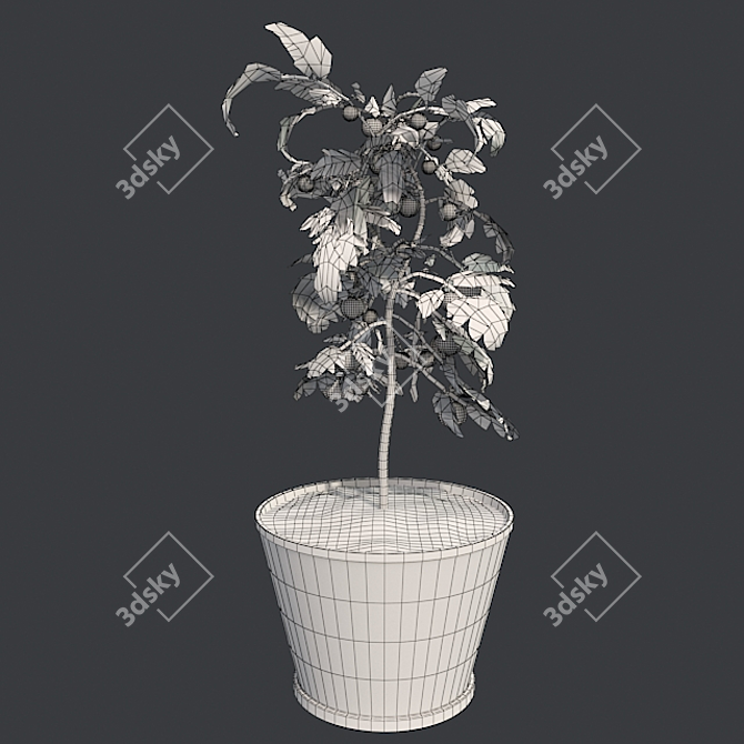 Quad Tomato Pot: Real-World Scale, Clean Topology! 3D model image 5