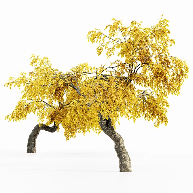 Cherry_Fall 5-Tree Collection 3D model image 3