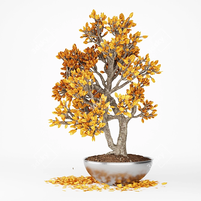 Miniature Tree Collection 3D model image 3