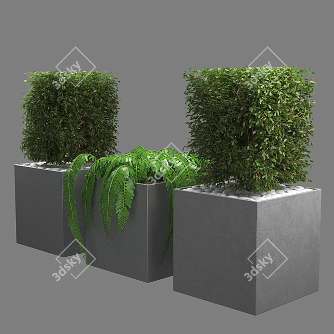 Botanical Beauty: 648k Polygon Plant 3D model image 3