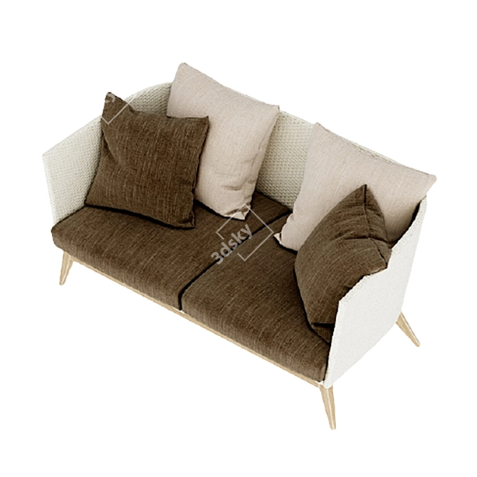 Modern Double Sofa with Cushion Texture 3D model image 11