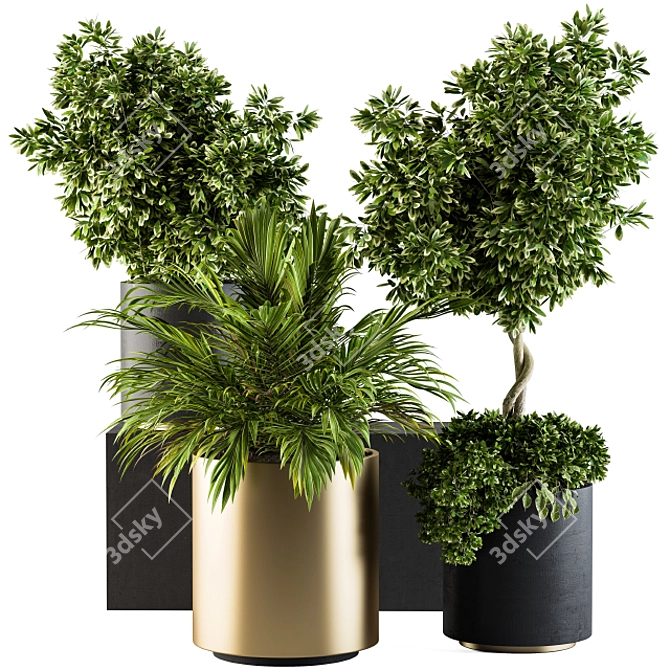 90-Piece Indoor Plant Set: Black & Gold 3D model image 1