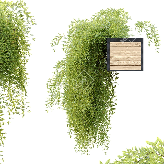 Wooden Hanging Plant Pot 3D model image 4