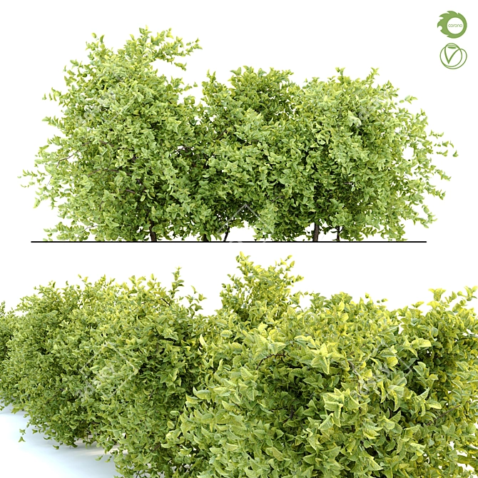  Prolific Bush 2: 1m Height, 443K polys, Separated Branches & Leaves 3D model image 1