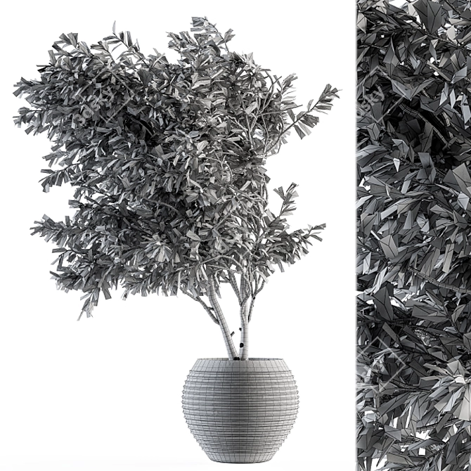 Olive Indoor Plant Set: Stylish Greenery for Your Home 3D model image 4