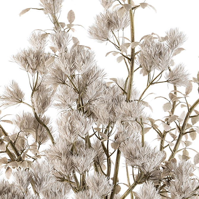 Elegant Dried Plant Bouquet Set 3D model image 4