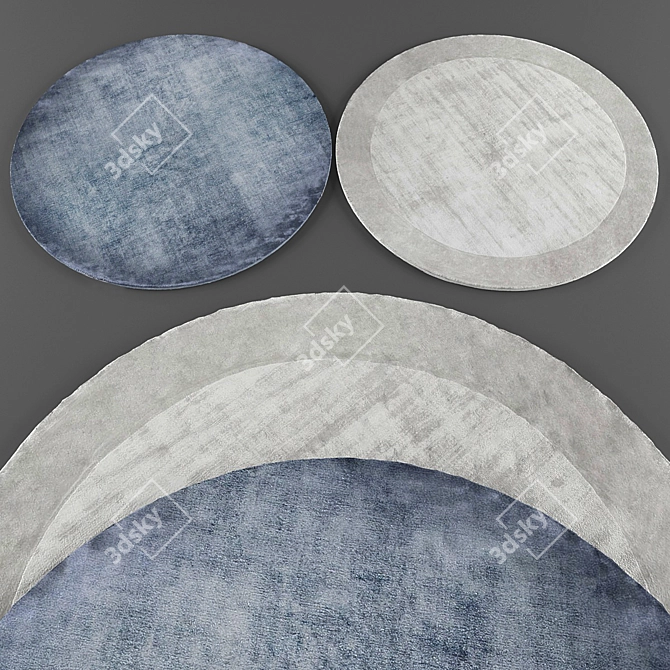 Archived Rug Collection 3D model image 2