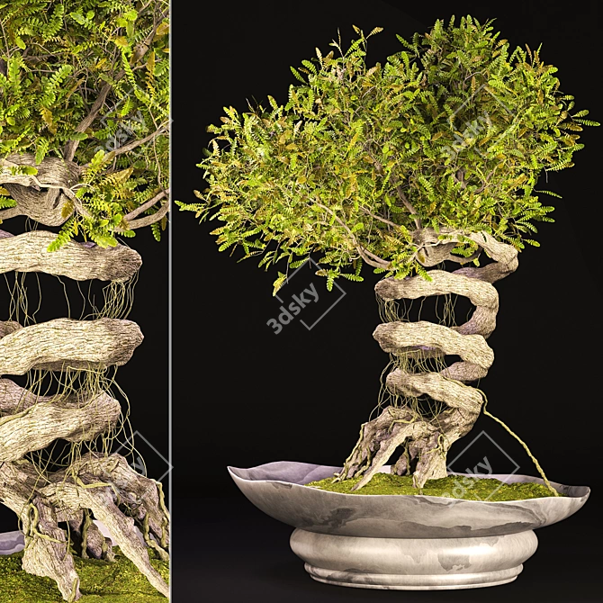 Speedtree Designed Weed Bonsai 3D model image 1