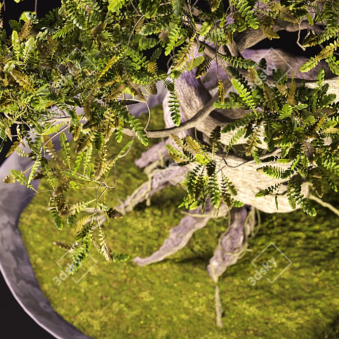 Speedtree Designed Weed Bonsai 3D model image 2