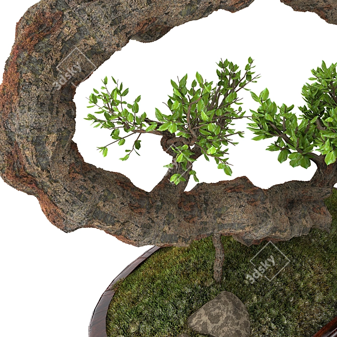 Sleek Indoor Plant - 2015 Version 3D model image 4