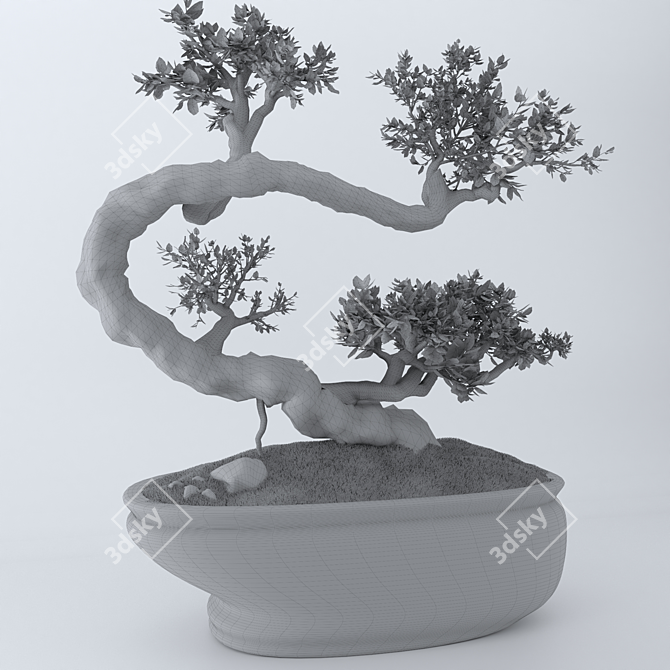 Sleek Indoor Plant - 2015 Version 3D model image 5