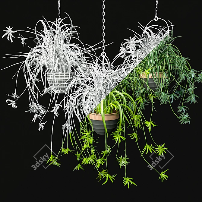 Low-Maintenance Spider Plants Combo 3D model image 5