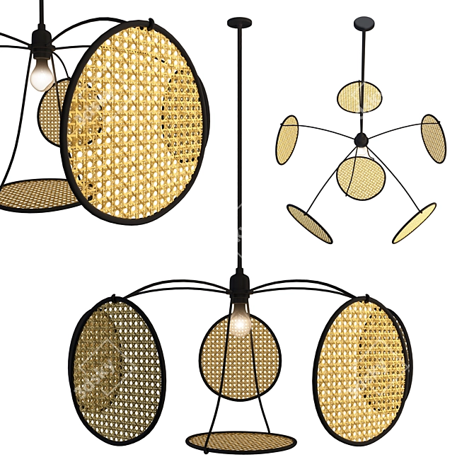 Natural Rattan Pendant Lamp 3D model image 1