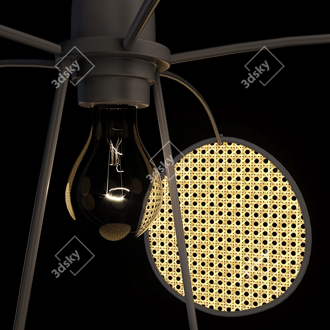 Natural Rattan Pendant Lamp 3D model image 2