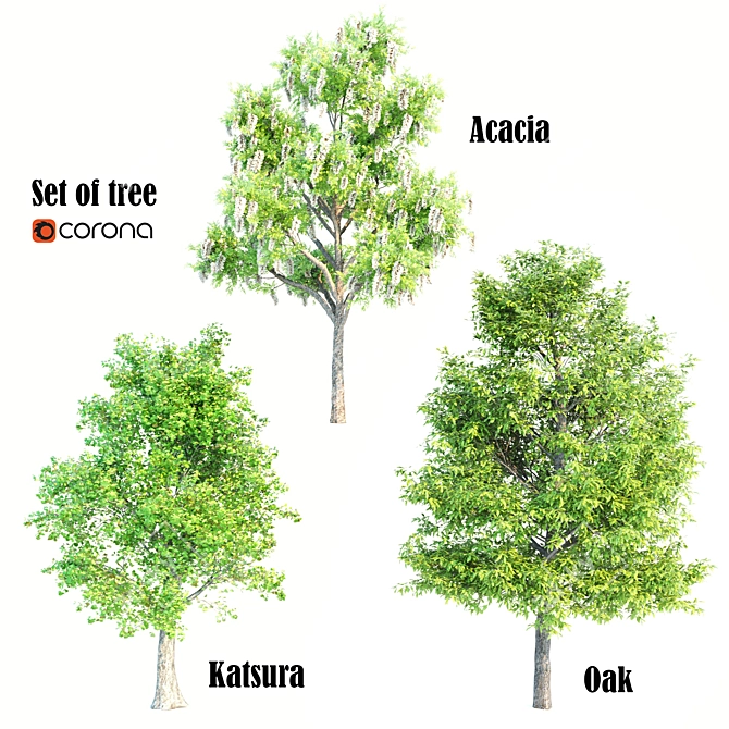 Assorted Tree Set: Acacia, Oak, Katsura 3D model image 1