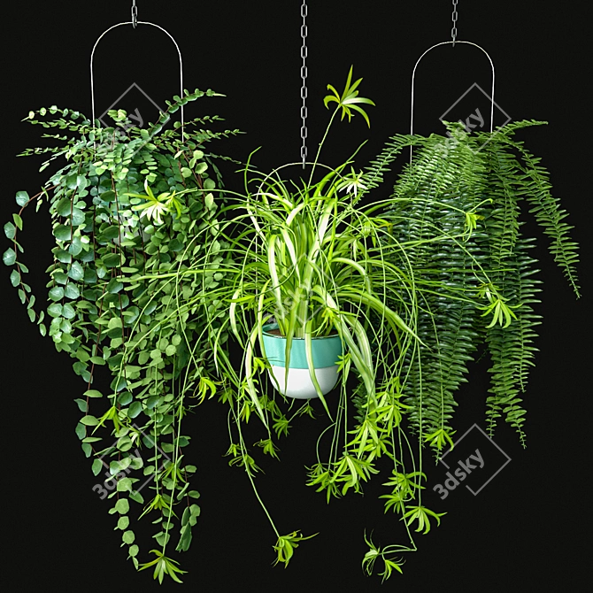 Indoor Hanging Plants Set 3D model image 1