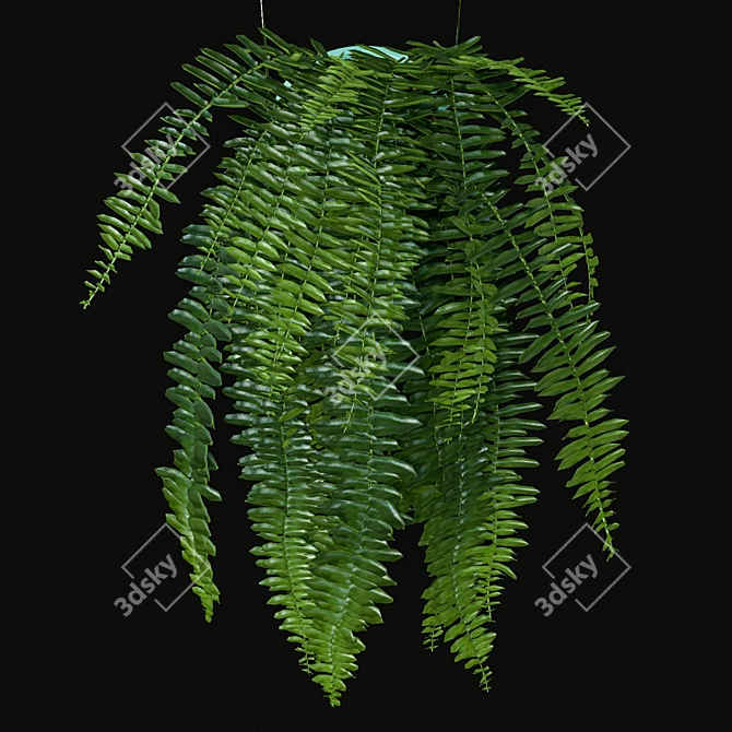 Indoor Hanging Plants Set 3D model image 4