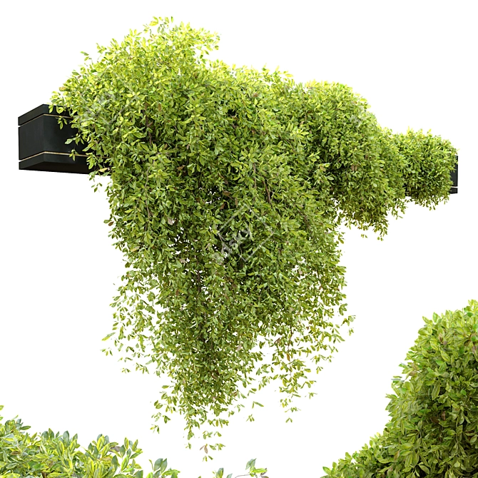 Versatile Hanging Plant Pot 3D model image 4