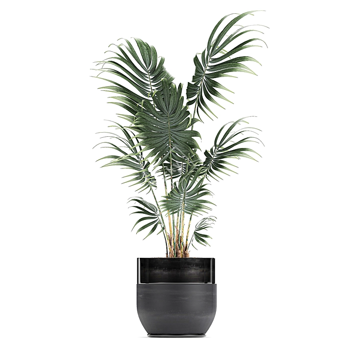 Tropical Plant Collection 3D model image 3