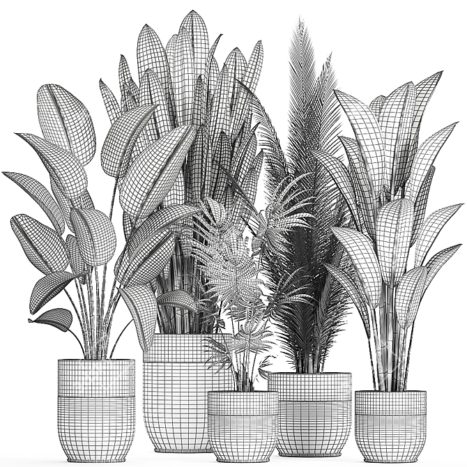 Tropical Plant Collection 3D model image 5