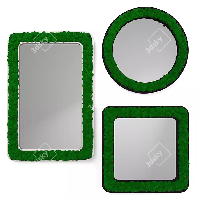 Nature-Inspired Moss Frame Mirror 3D model image 5